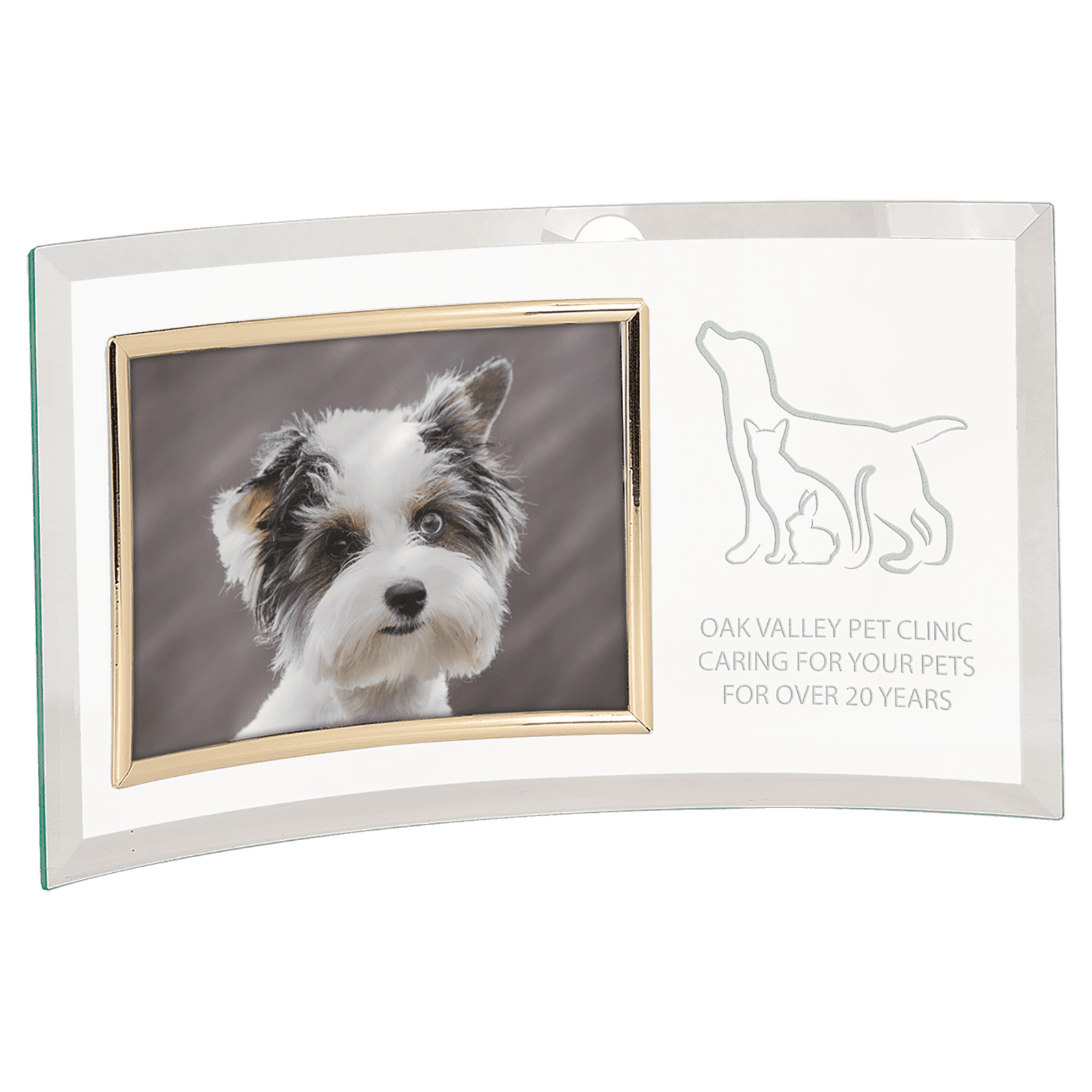 Jade Glass Crescent with Gold Horizontal 7" x 5" Frame