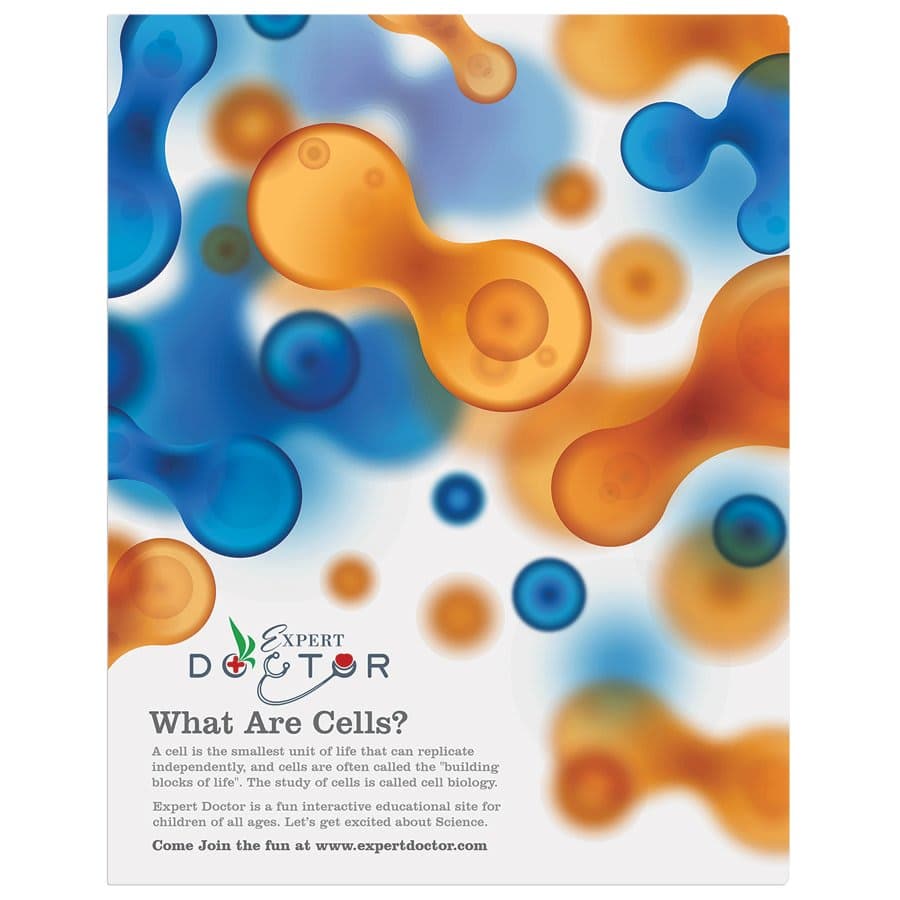 Semi-Gloss White Aluminum Photo Panel