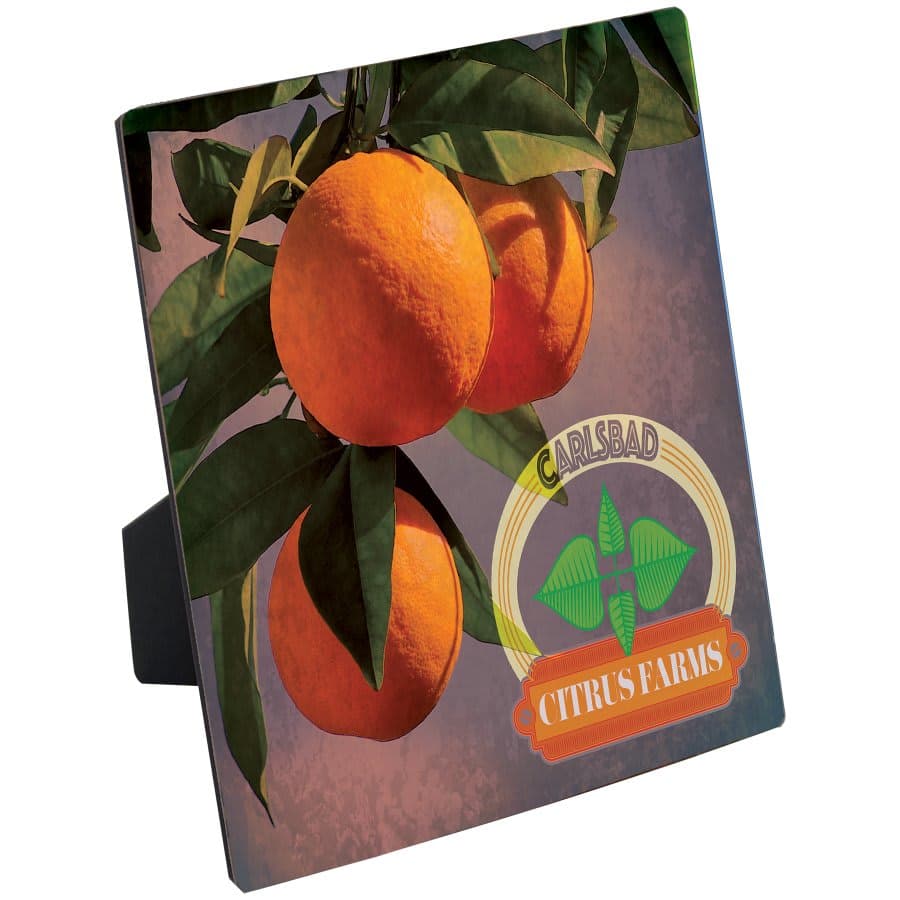 ChromaLuxe Gloss Hardboard Photo Panel with Easel