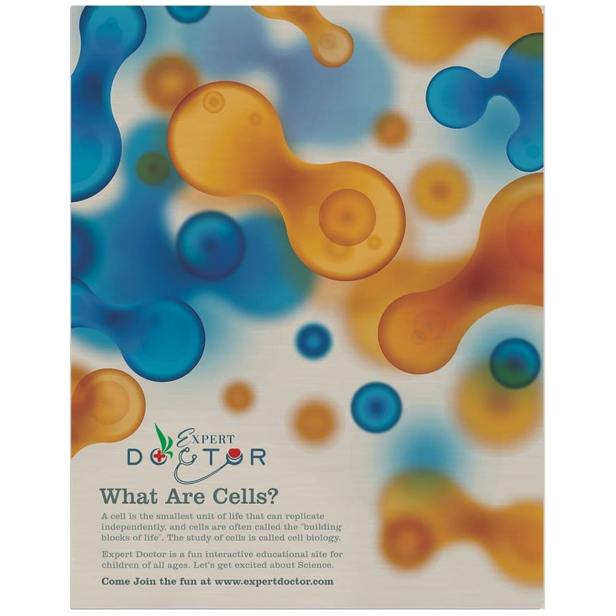 Gloss Silver Aluminum Photo Panel