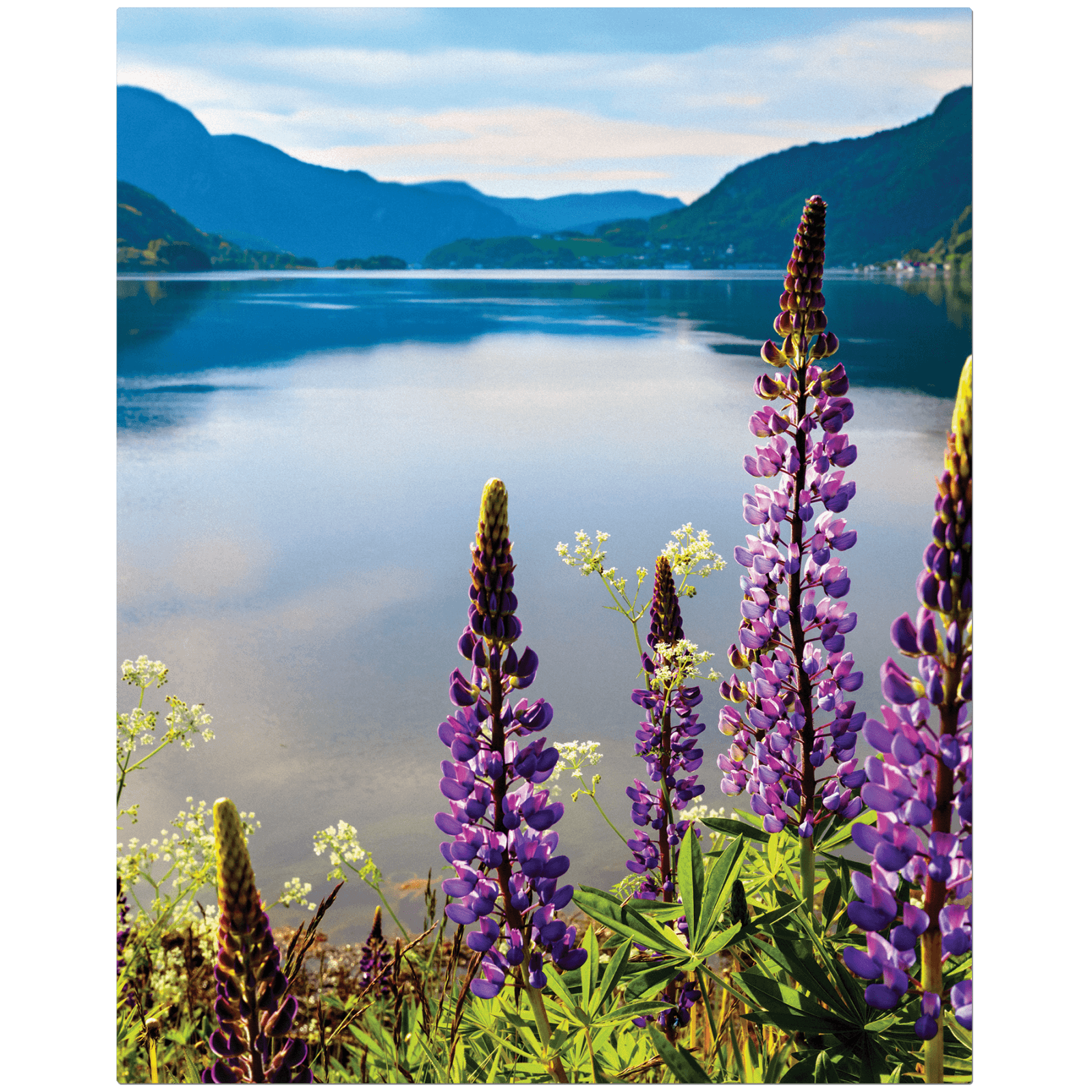 White ChromaLuxe Textured Aluminum Photo Panel