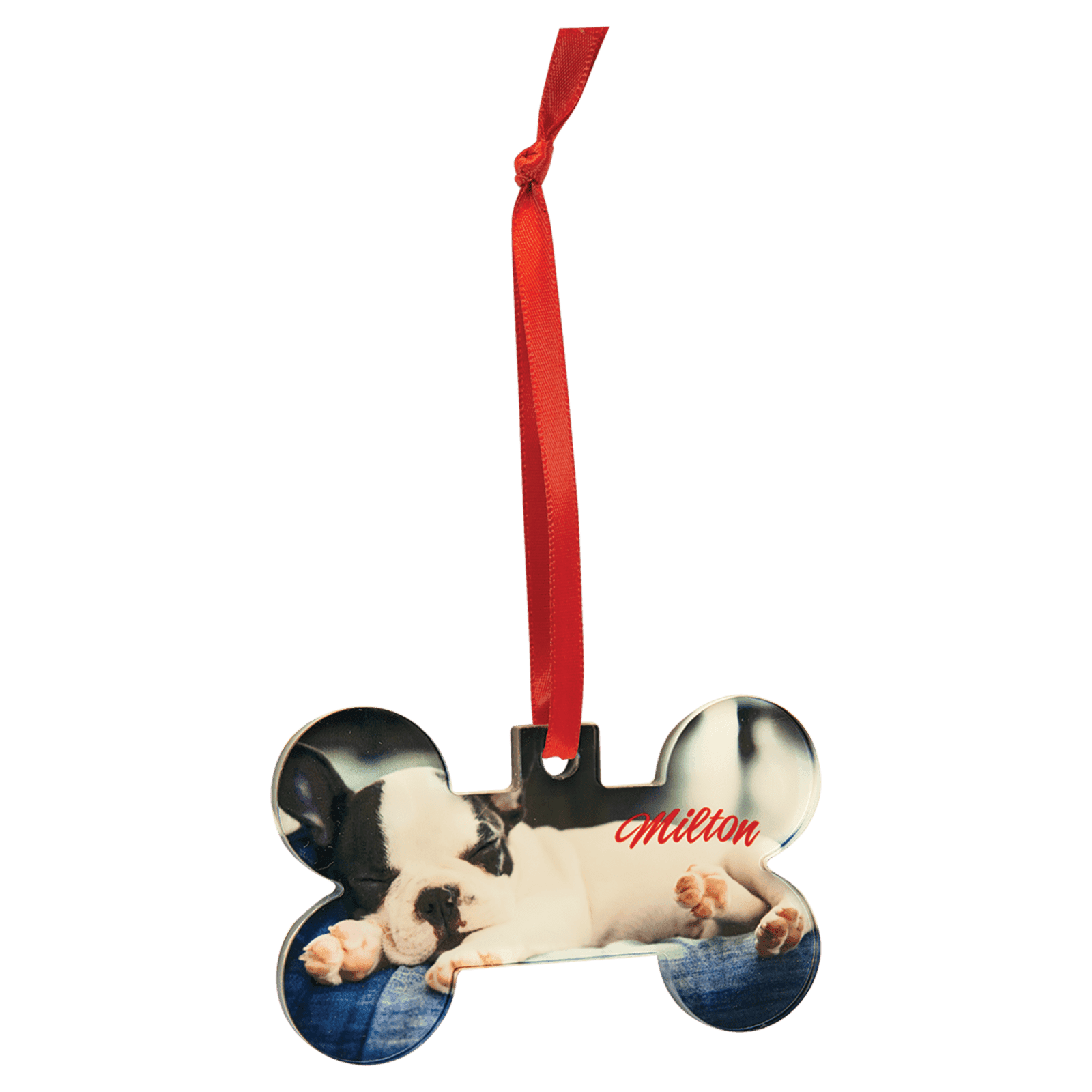 Bone Acrylic Full Color Ornament with Red Ribbon