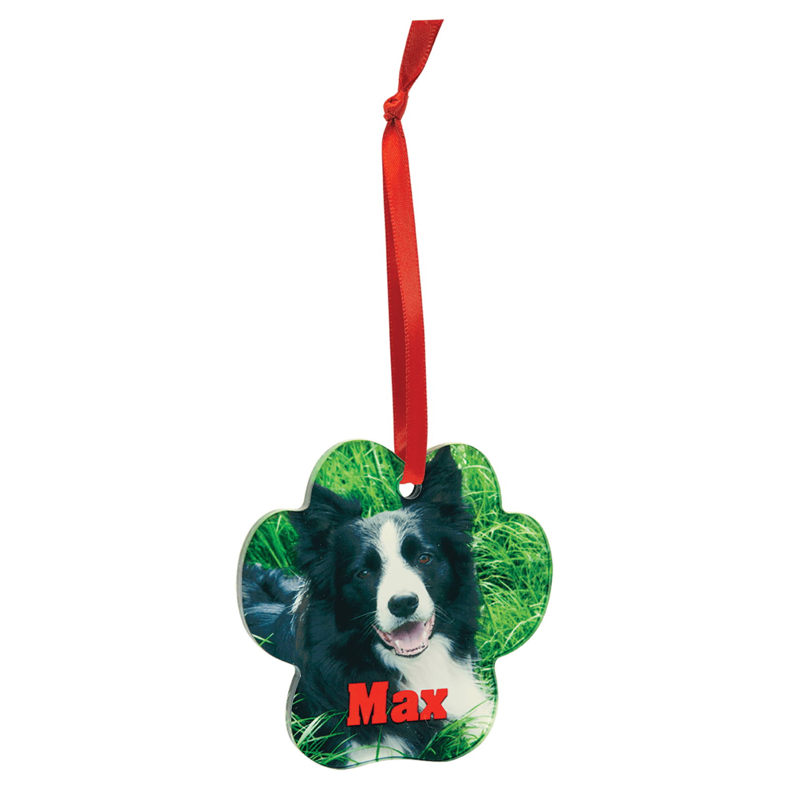 Paw Acrylic Full Color Ornament with Red Ribbon