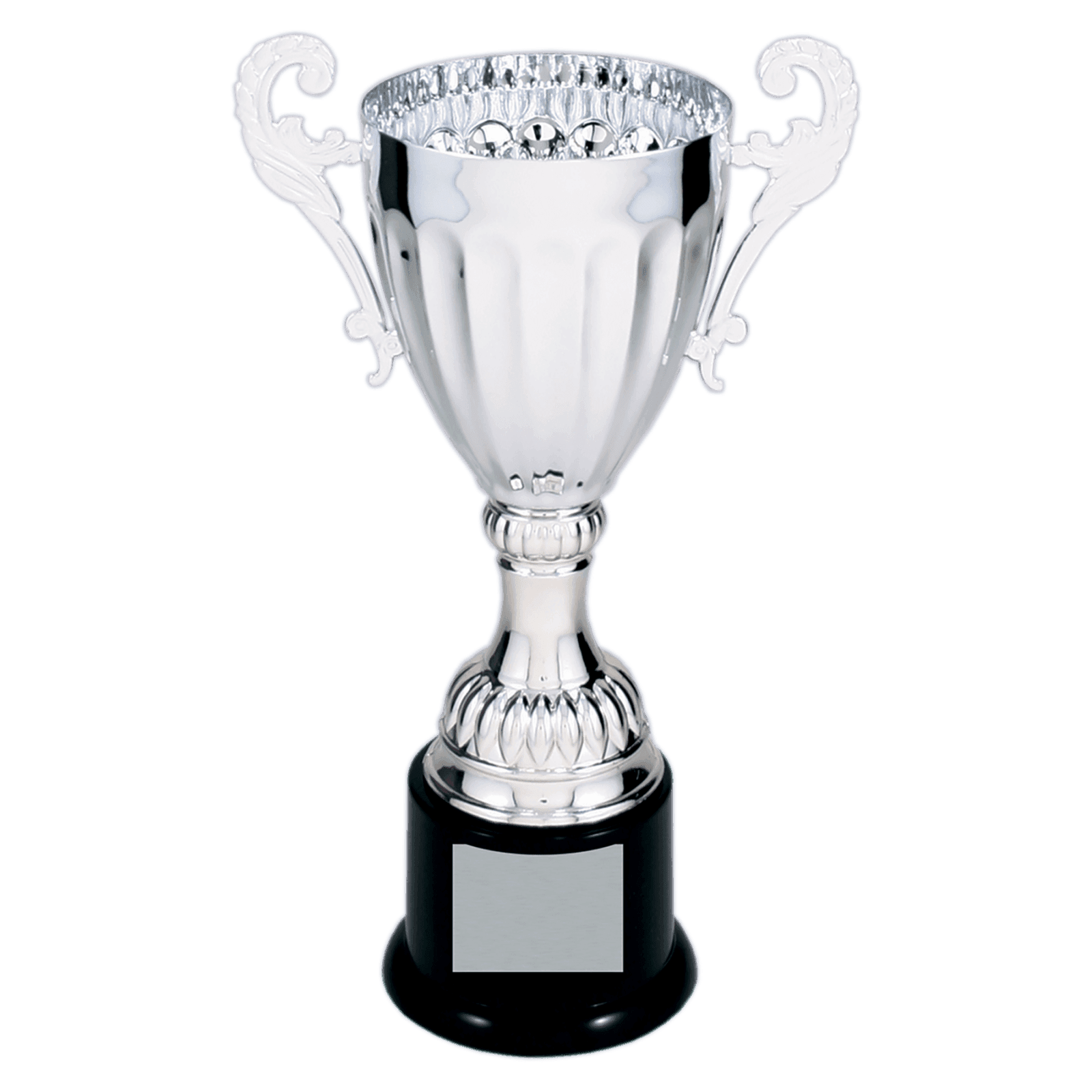 Silver Metal Cup-8 3/4"