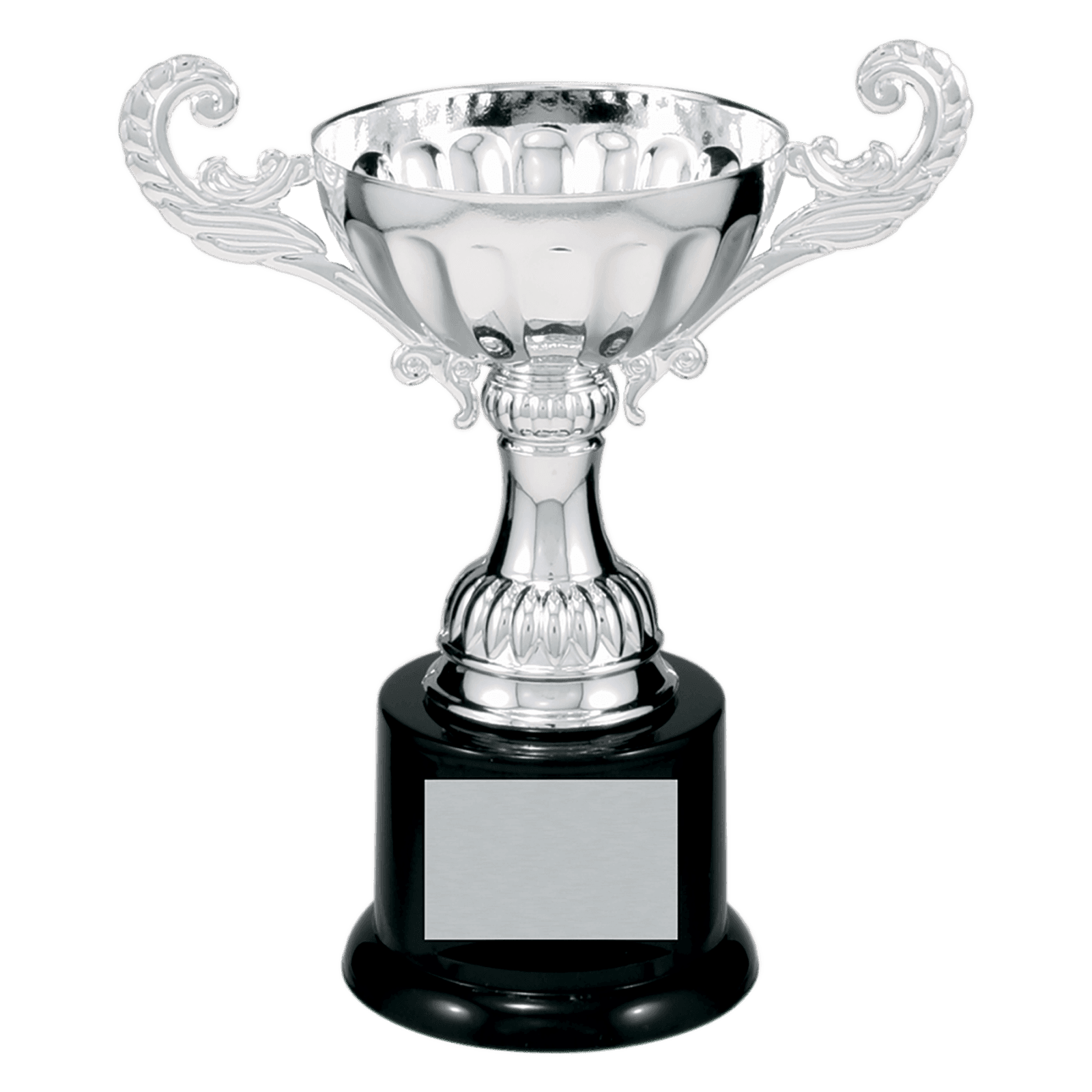Silver Metal Cup-6 1/2"