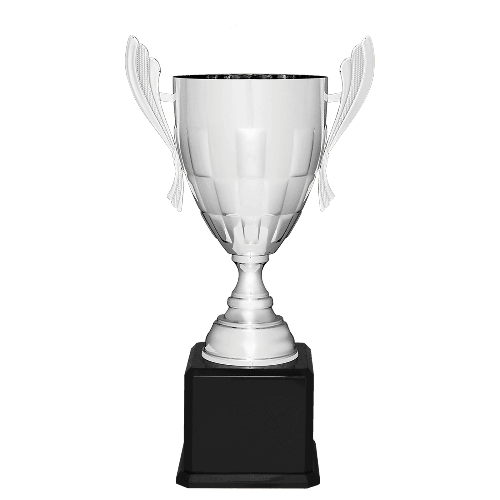 Silver Metal Cup-24 3/4"