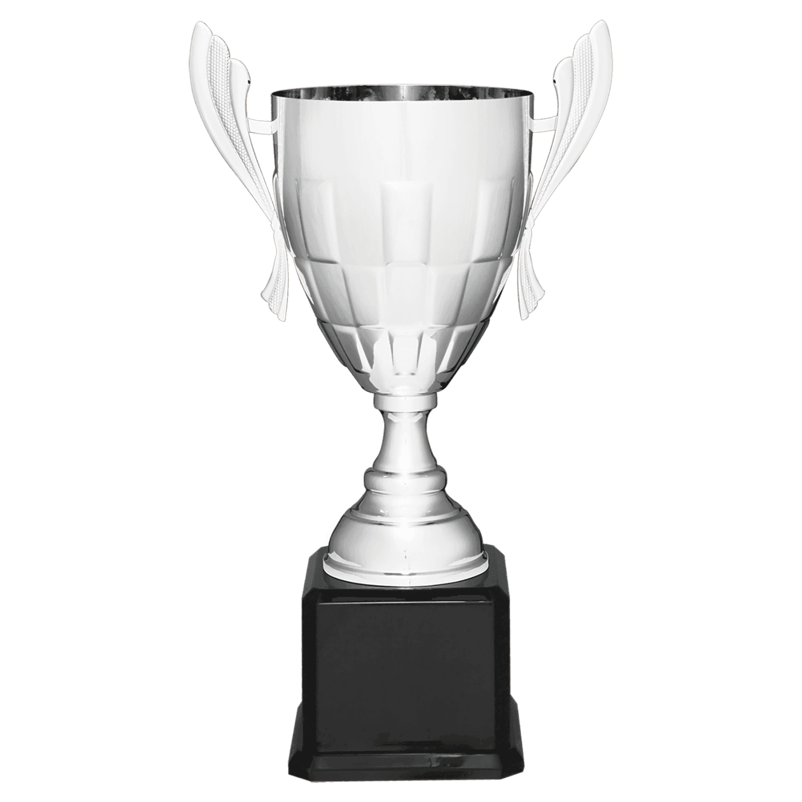Silver Metal Cup-22"