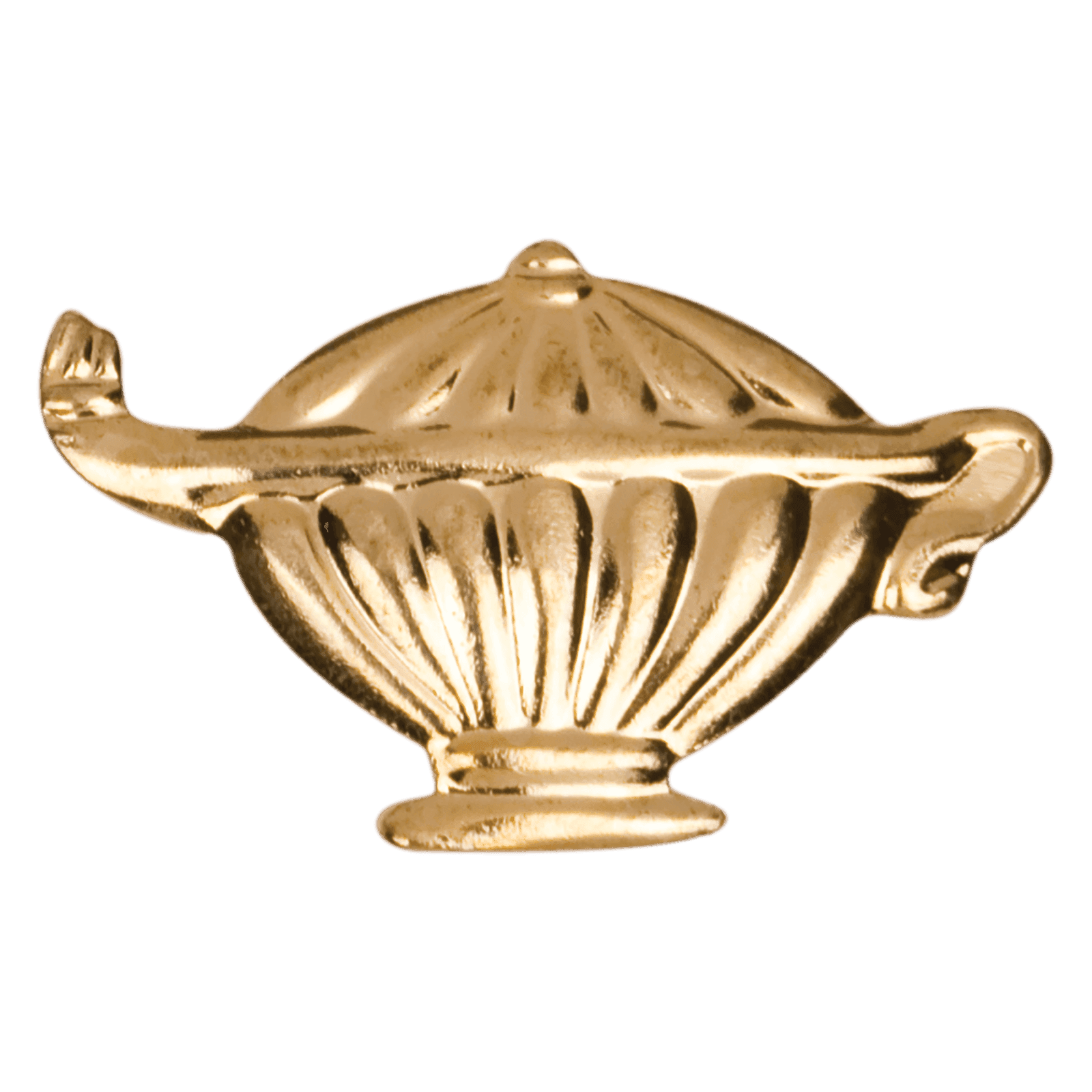 Lamp of Knowledge Chenille Pin